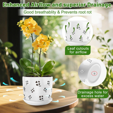 REMIAWY orchid pot with matching saucer for clean surfaces