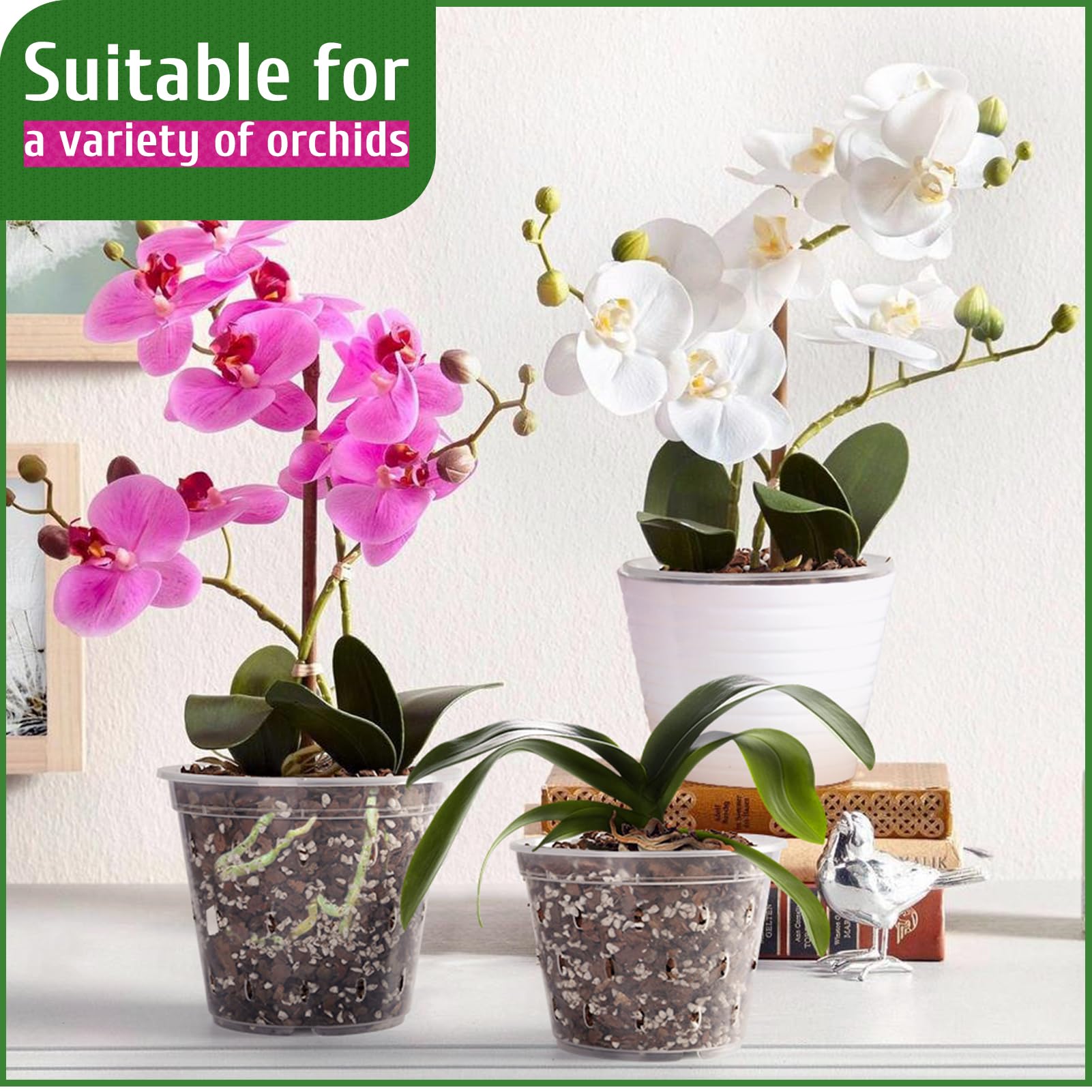 REMIAWY orchid pot versatile for home and garden setups