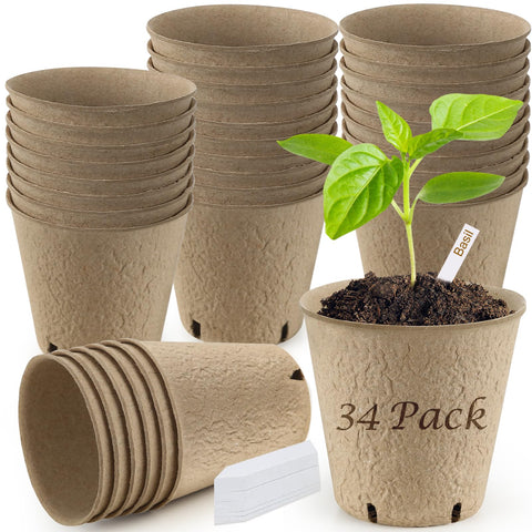 REMIAWY peat pots for seed starting, 34-pack, ready for germination.