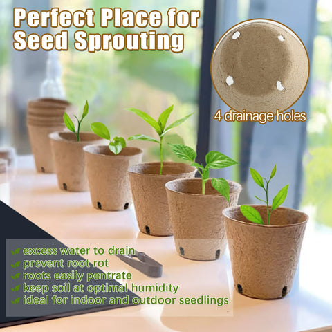 Indoor seedling setup using REMIAWY biodegradable peat pots.
