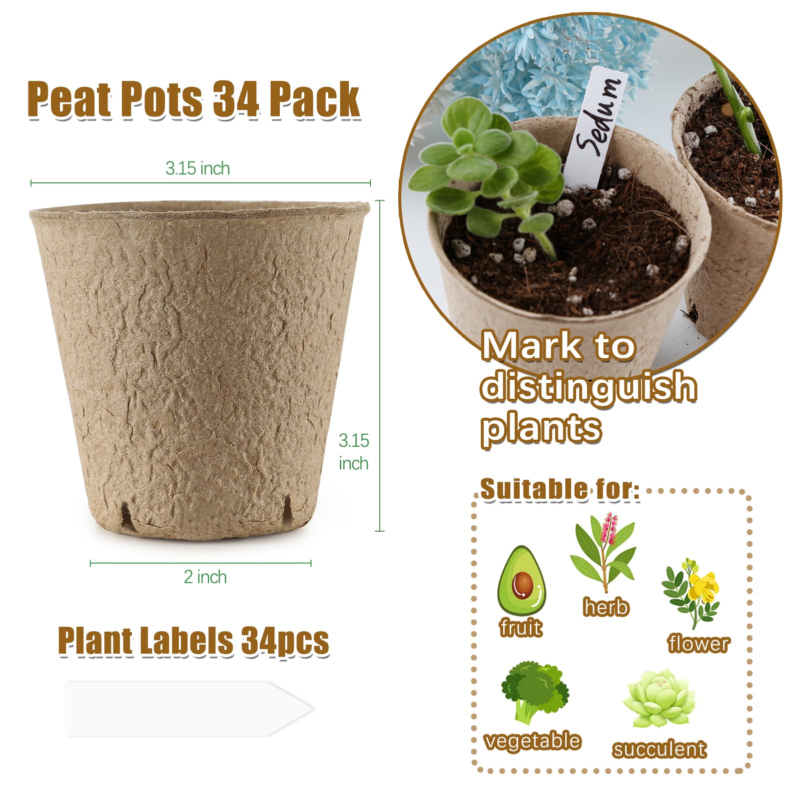 Sturdy REMIAWY peat pots in thick-walled packaging for durability.