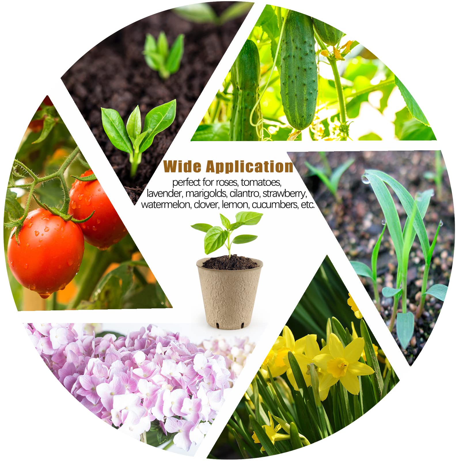 REMIAWY plant labels included to mark seeds and dates.