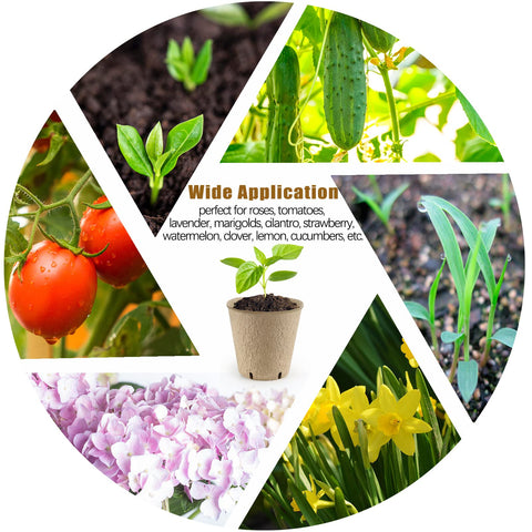 REMIAWY plant labels included to mark seeds and dates.