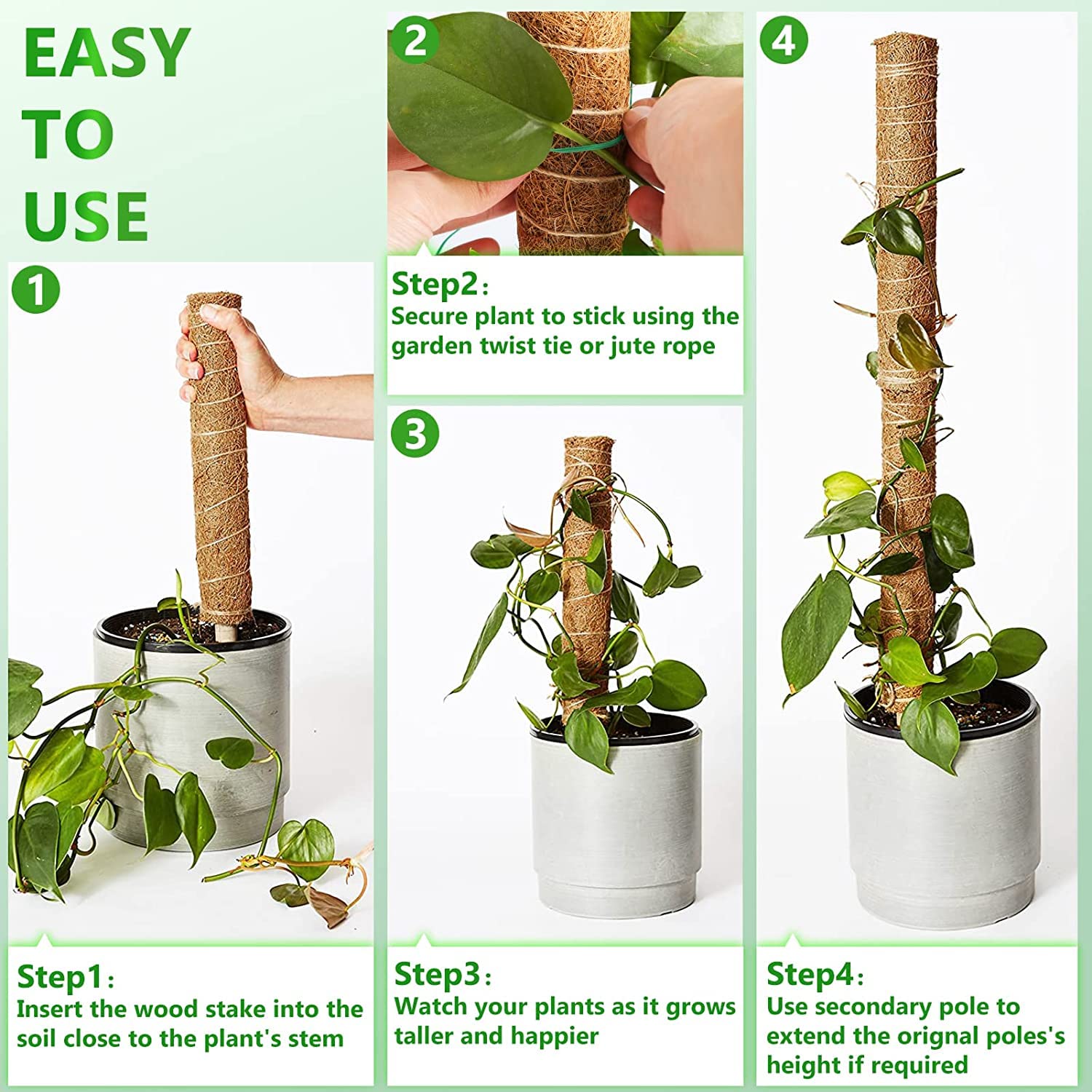 REMIAWY plant climbing pole helps creepers reach brighter light