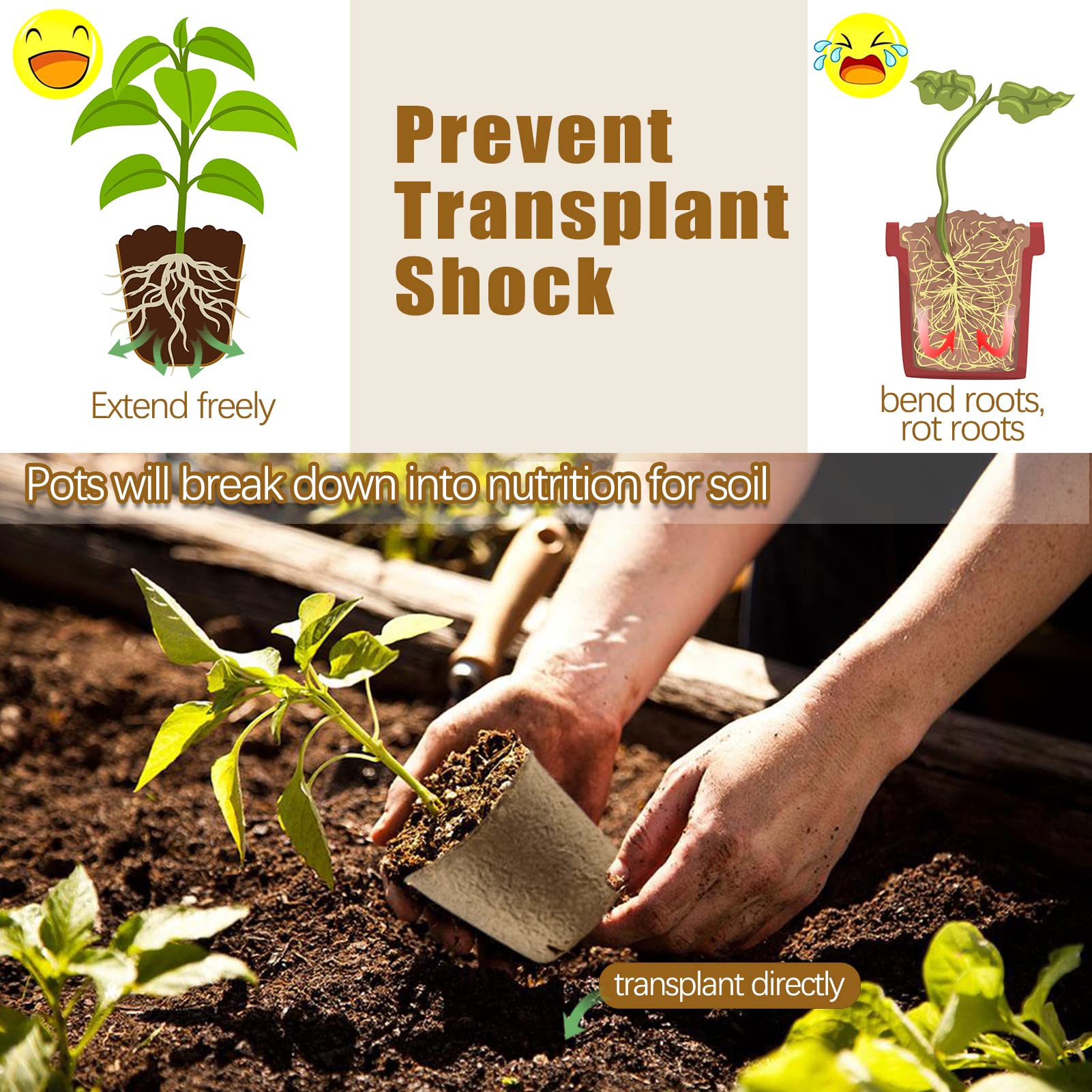 REMIAWY seed starter kit includes 50 plant labels