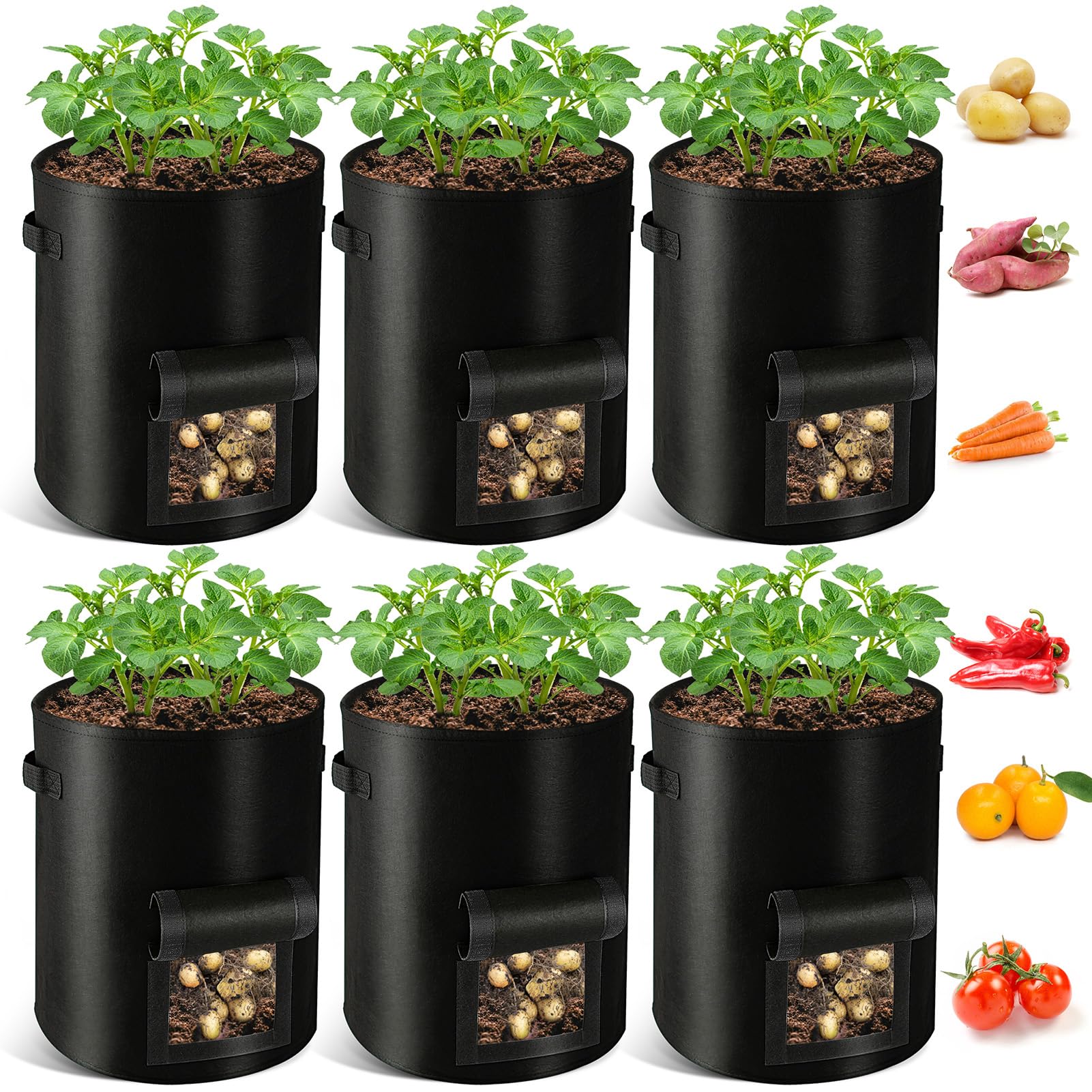 REMIAWY potato grow bag 10 gal setup with sturdy handles for easy relocation.