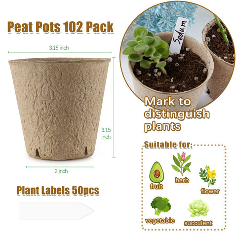 REMIAWY peat pots on a bright windowsill for indoor sprouting