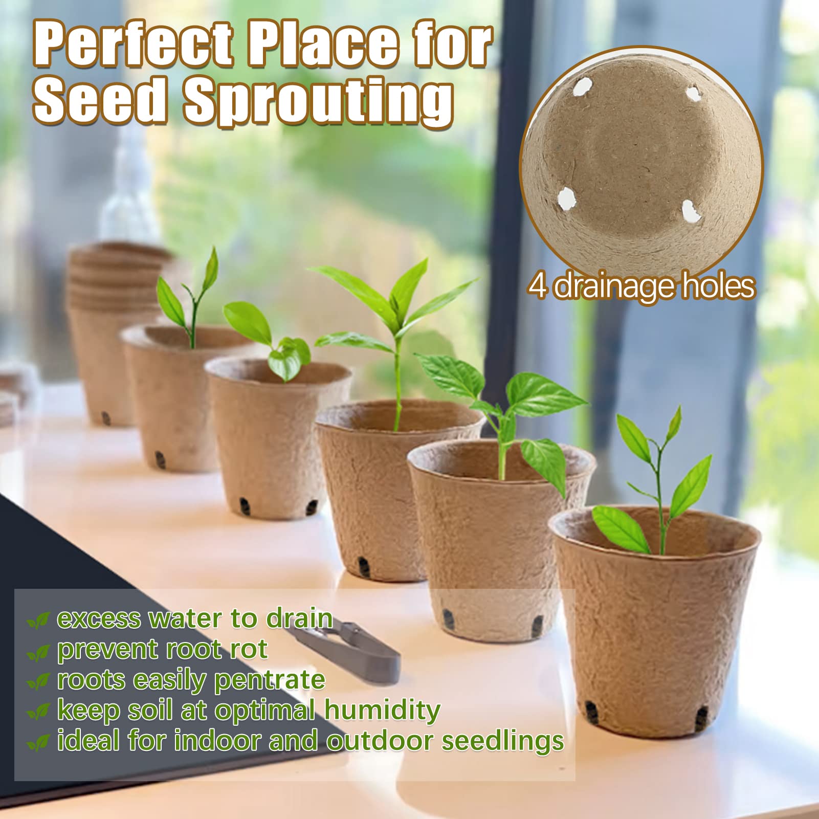 REMIAWY biodegradable peat pots supporting roots during transplanting
