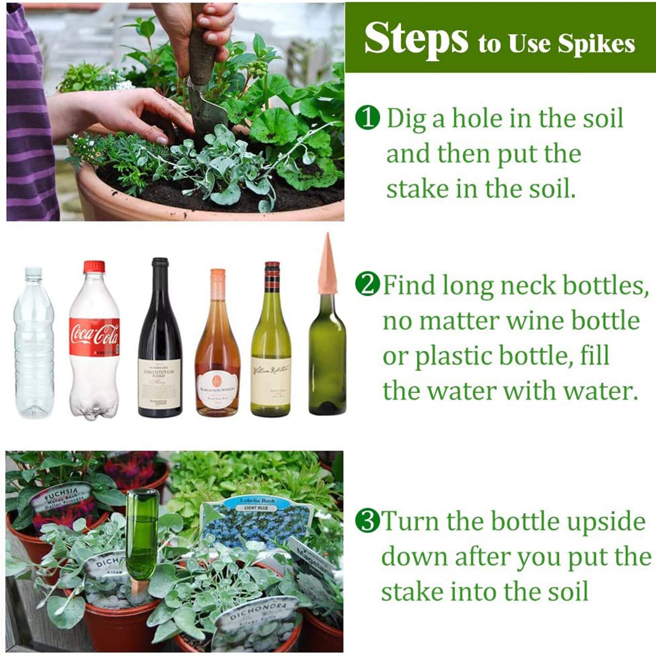 Remiawy slow-release watering demo helps vacation plant care.