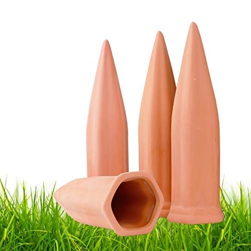 Remiawy terracotta watering stake setup for slow-release irrigation in pots.