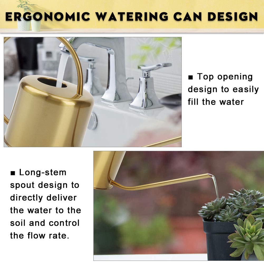 REMIAWY 1.3 liter capacity with gold finish adds decor charm