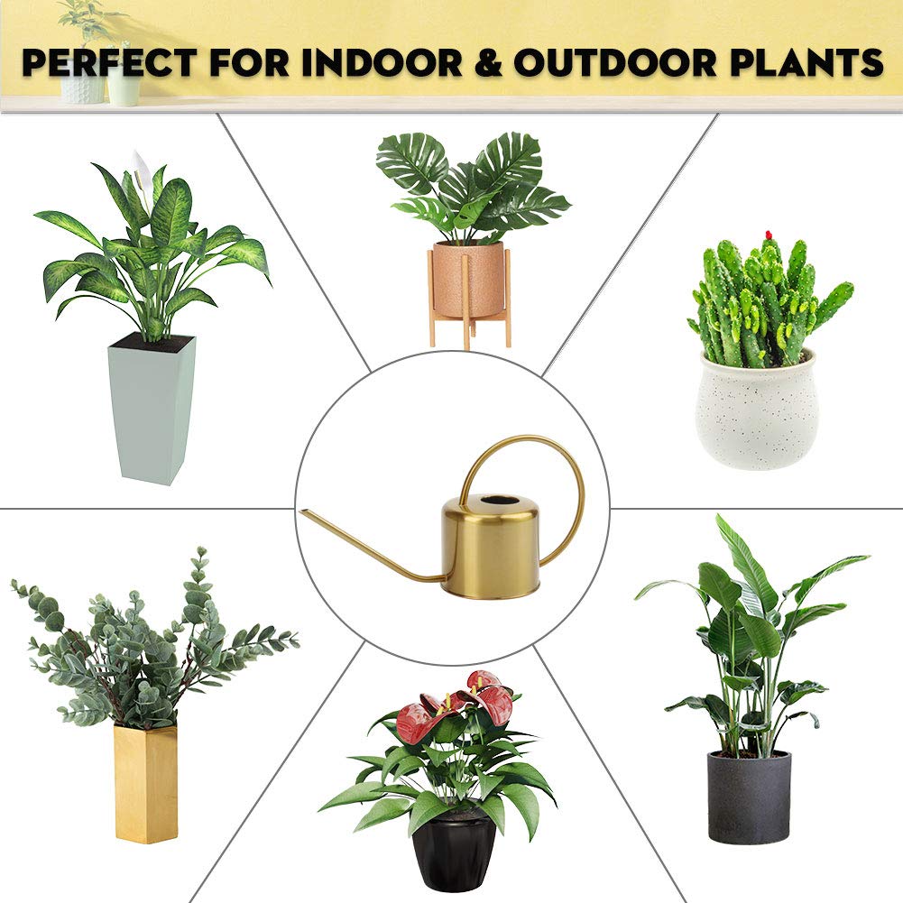 REMIAWY ideal for succulents and bonsai watering precision