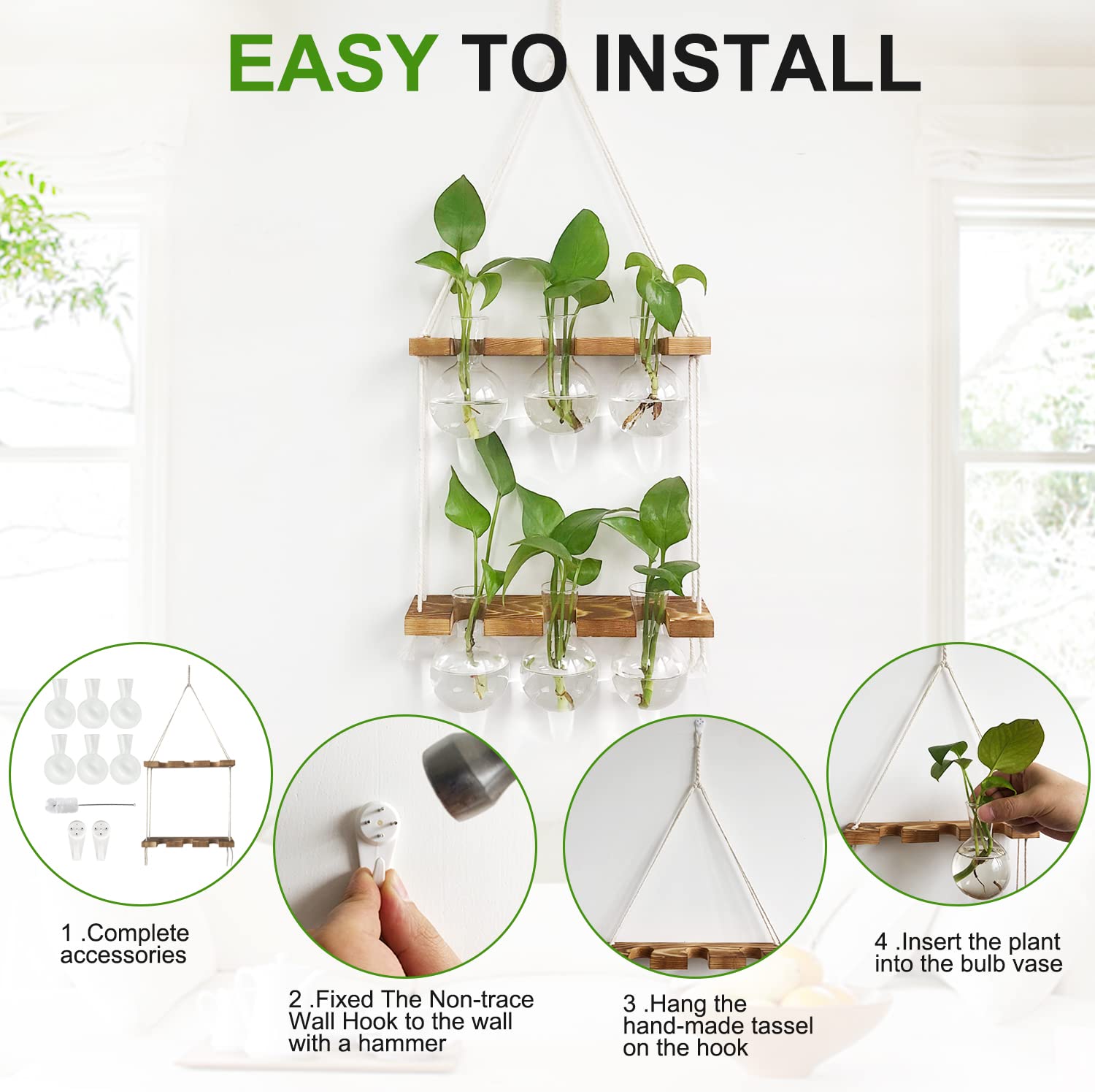 Renmxj six bulb glass vases close-up highlighting root growth potential.