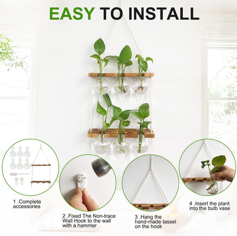 Renmxj six bulb glass vases close-up highlighting root growth potential.