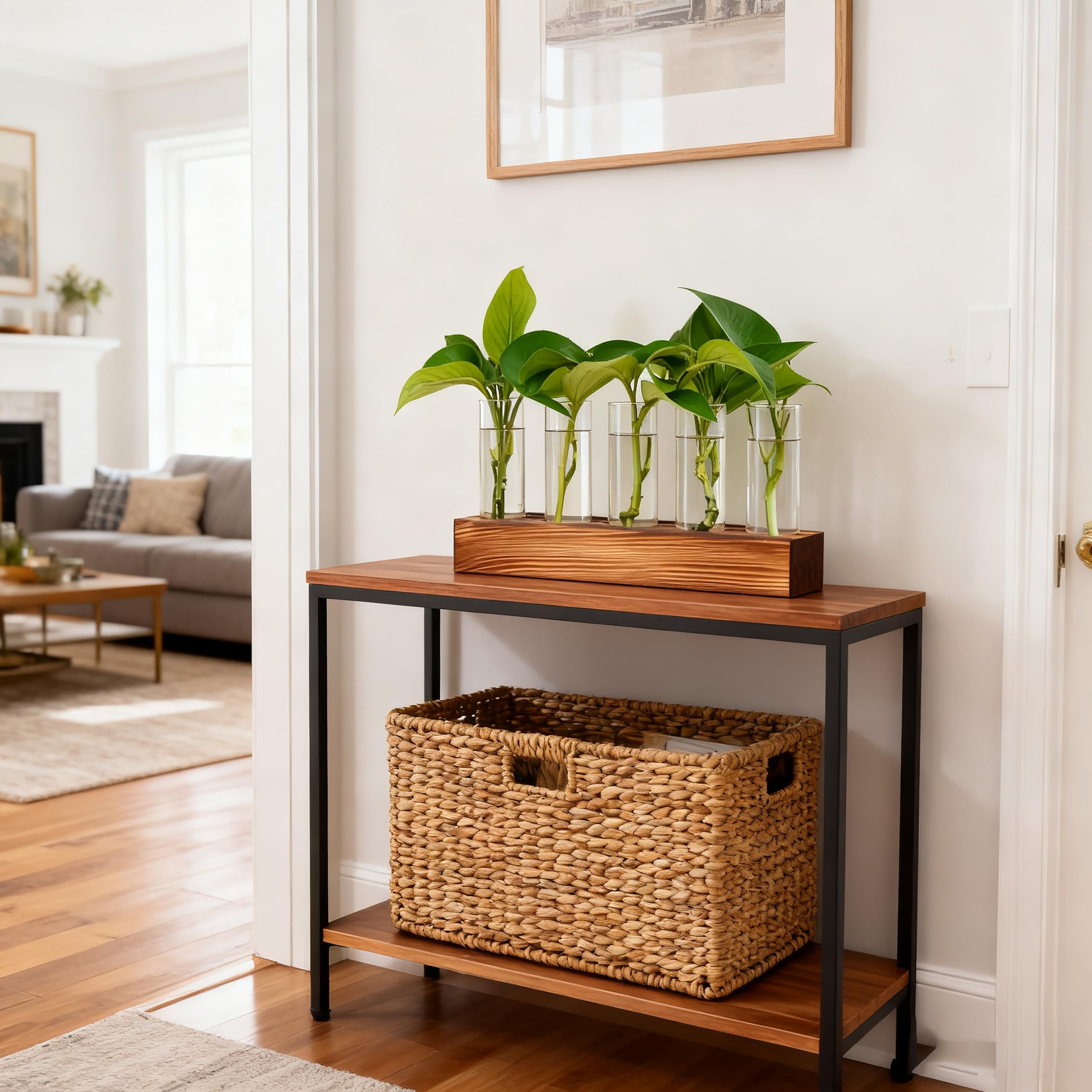Renmxj display featuring bamboo and pothos propagation
