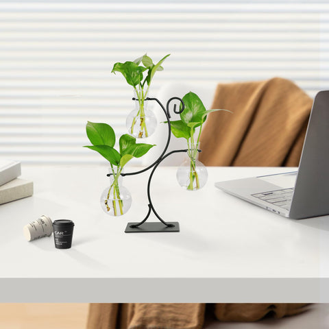 Renmxj clear glass lets you observe root growth and water condition at a glance.