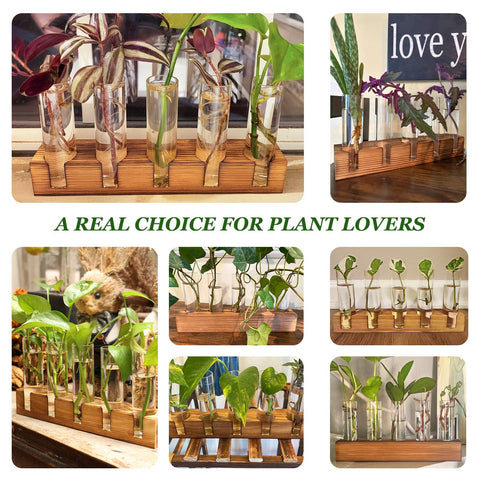 Renmxj gift-ready packaging appeals to plant lovers