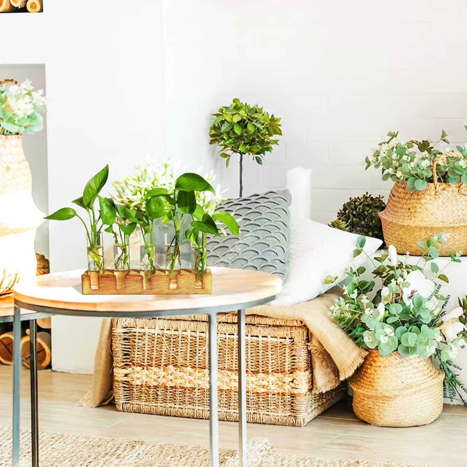 Renmxj propagation station on desk optimizes bright space