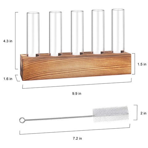 Renmxj five glass test tubes show clear water for monitoring roots