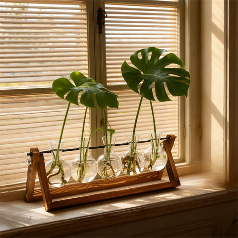Renmxj clear glass vases reveal root visibility in water