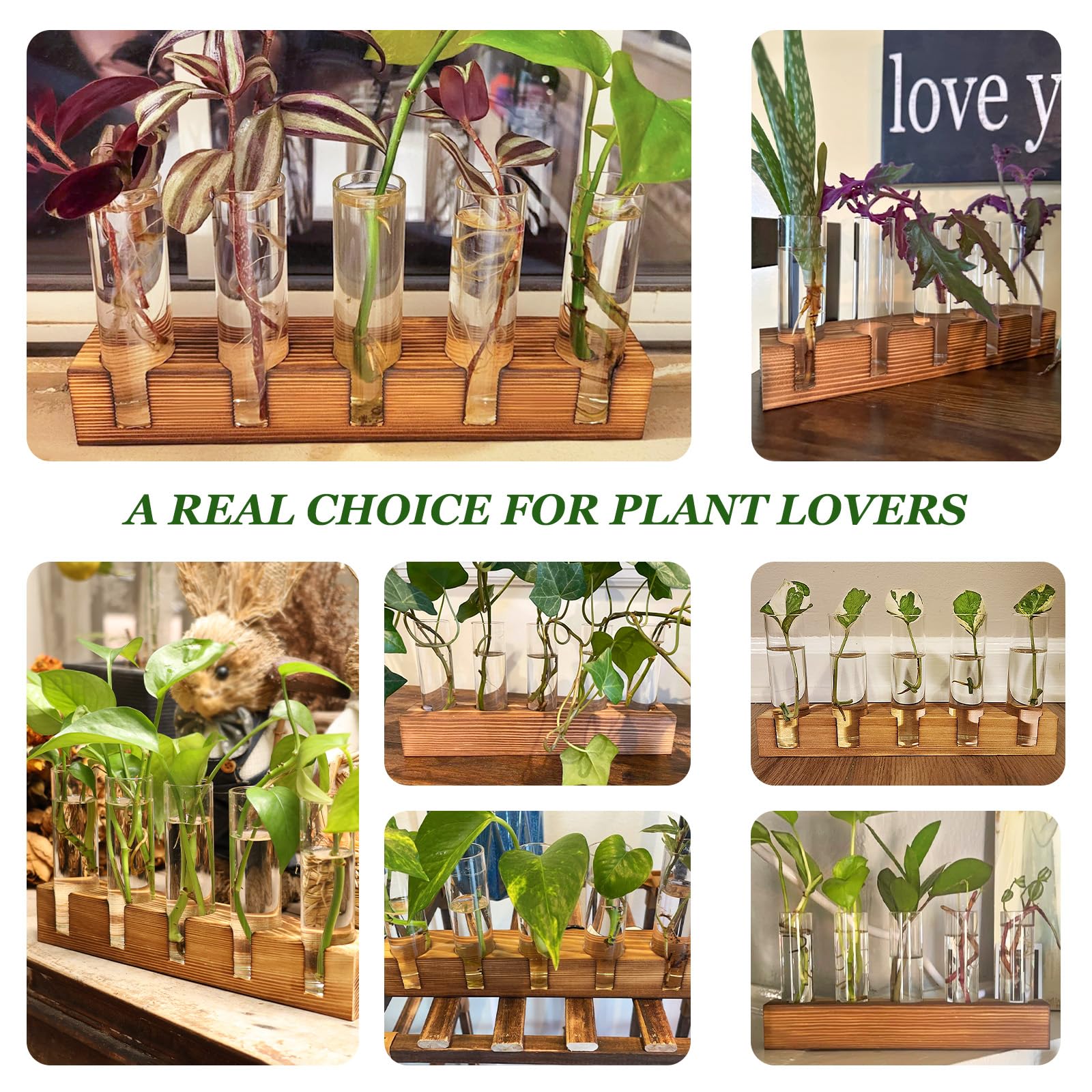 Renmxj station allows root growth of herbs like mint and basil