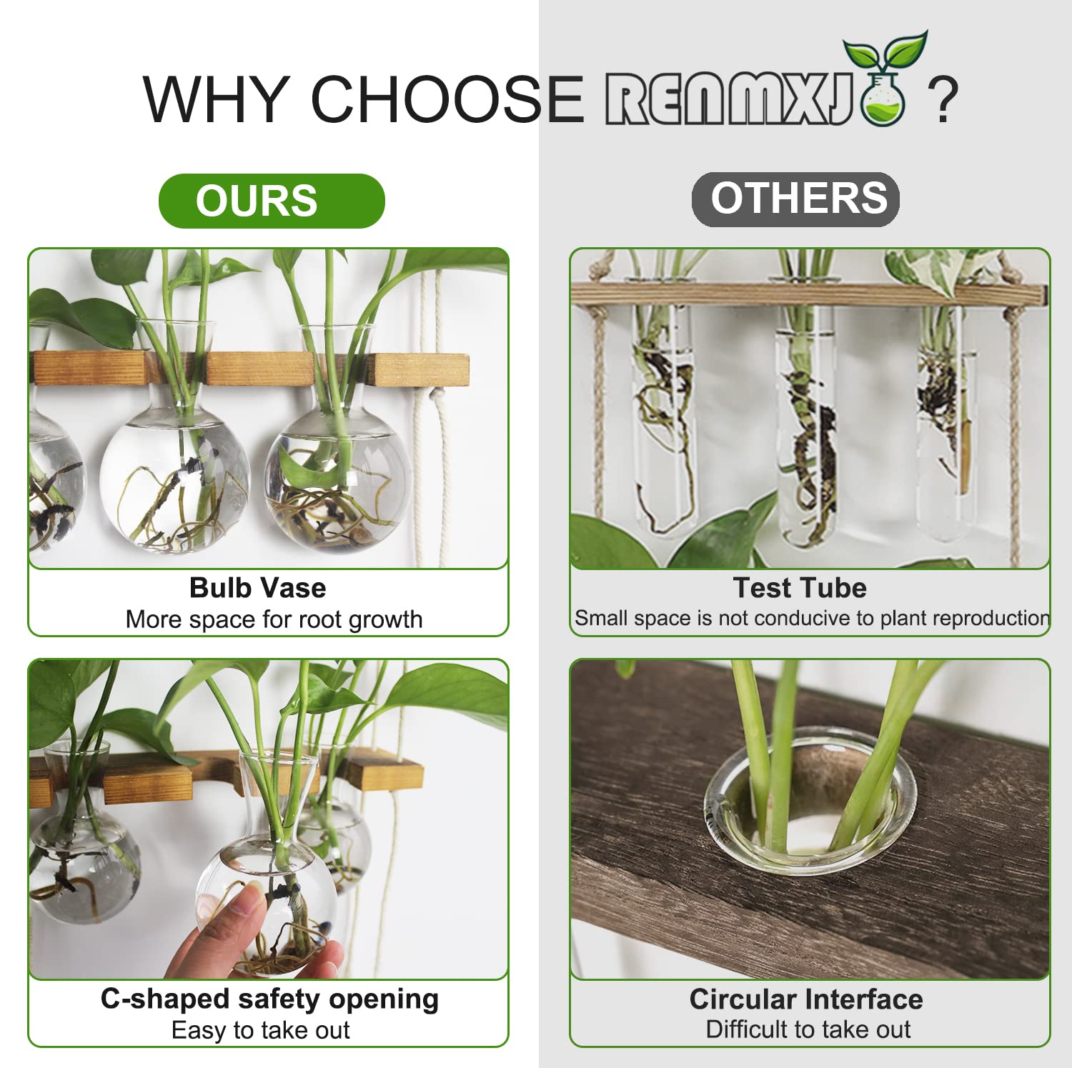Renmxj hydroponics display as modern garden decor with living plants.