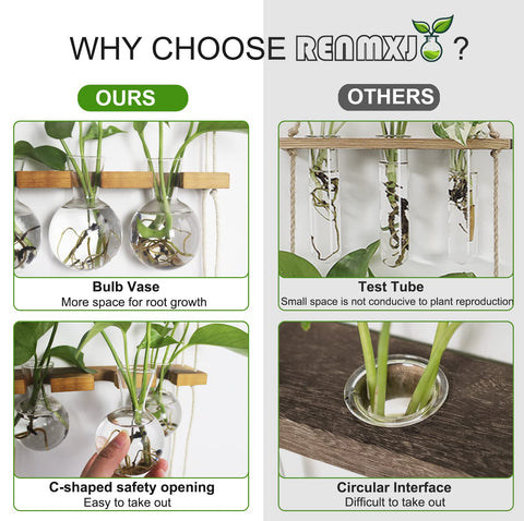 Renmxj hydroponics display as modern garden decor with living plants.