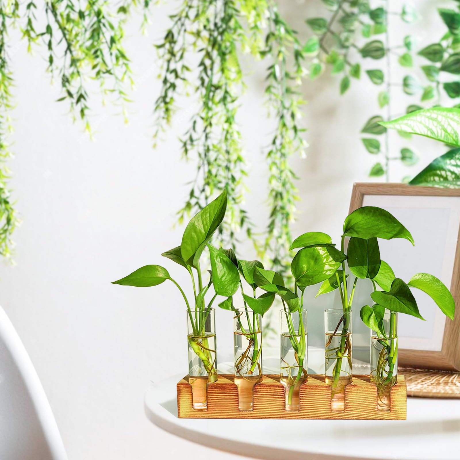 Renmxj hydroponics setup ideal for space-saving propagation
