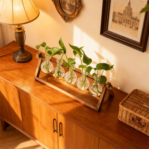 Renmxj propagation station decorates a desk or shelf