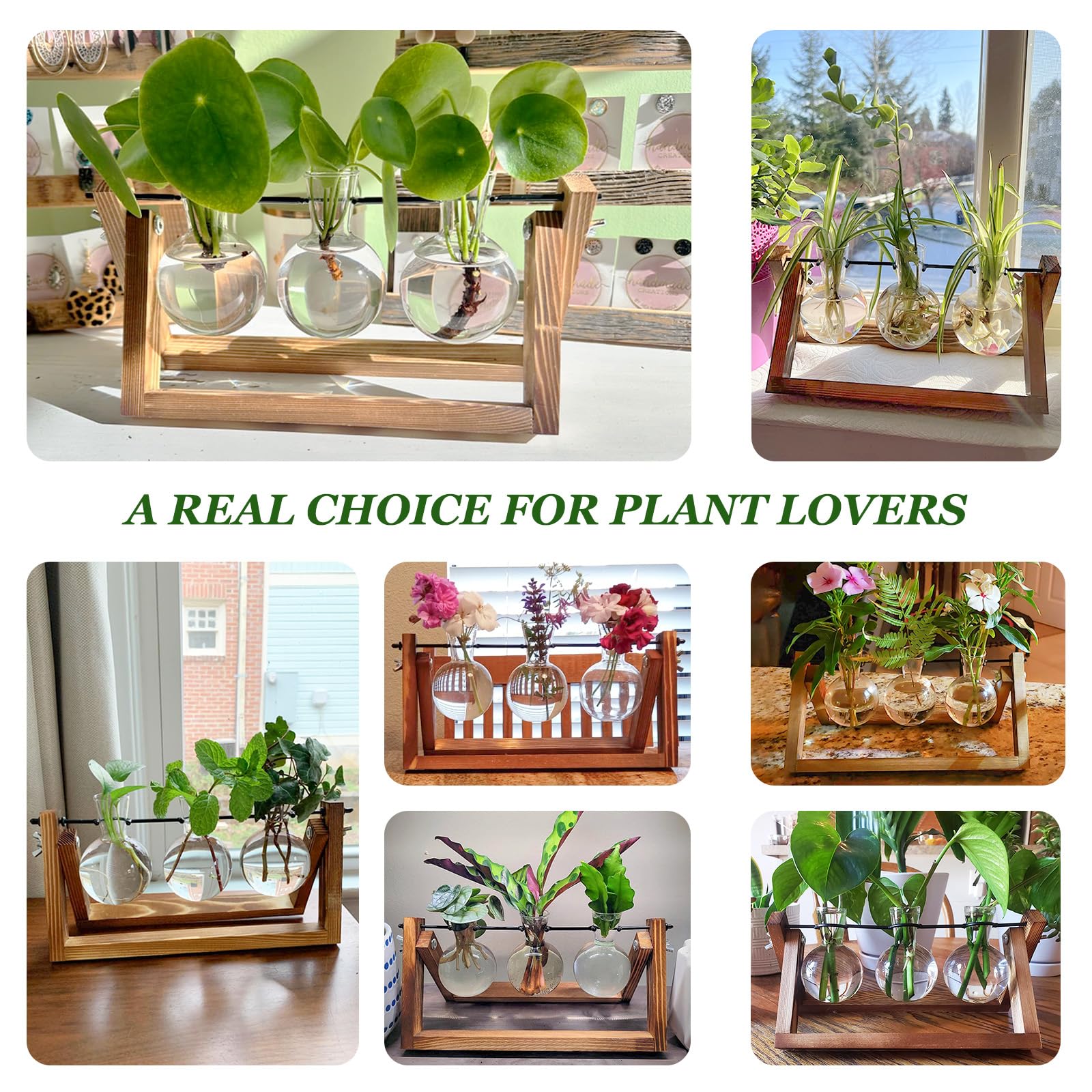 Renmxj glass bulb vases close-up for observing roots