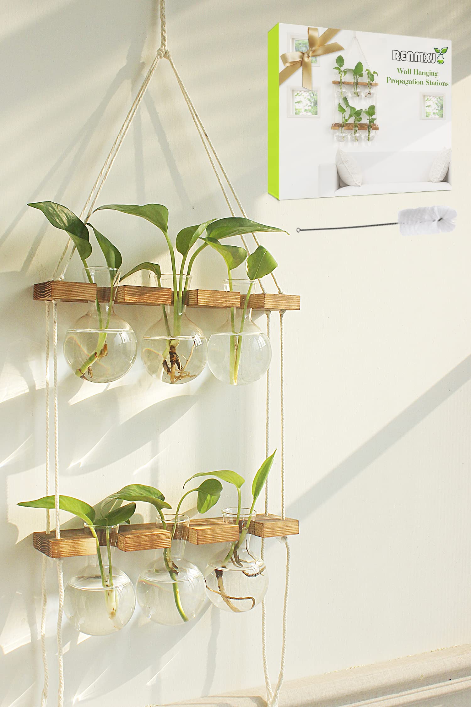 Renmxj propagation station wall hanging with six glass bulbs for easy root viewing.