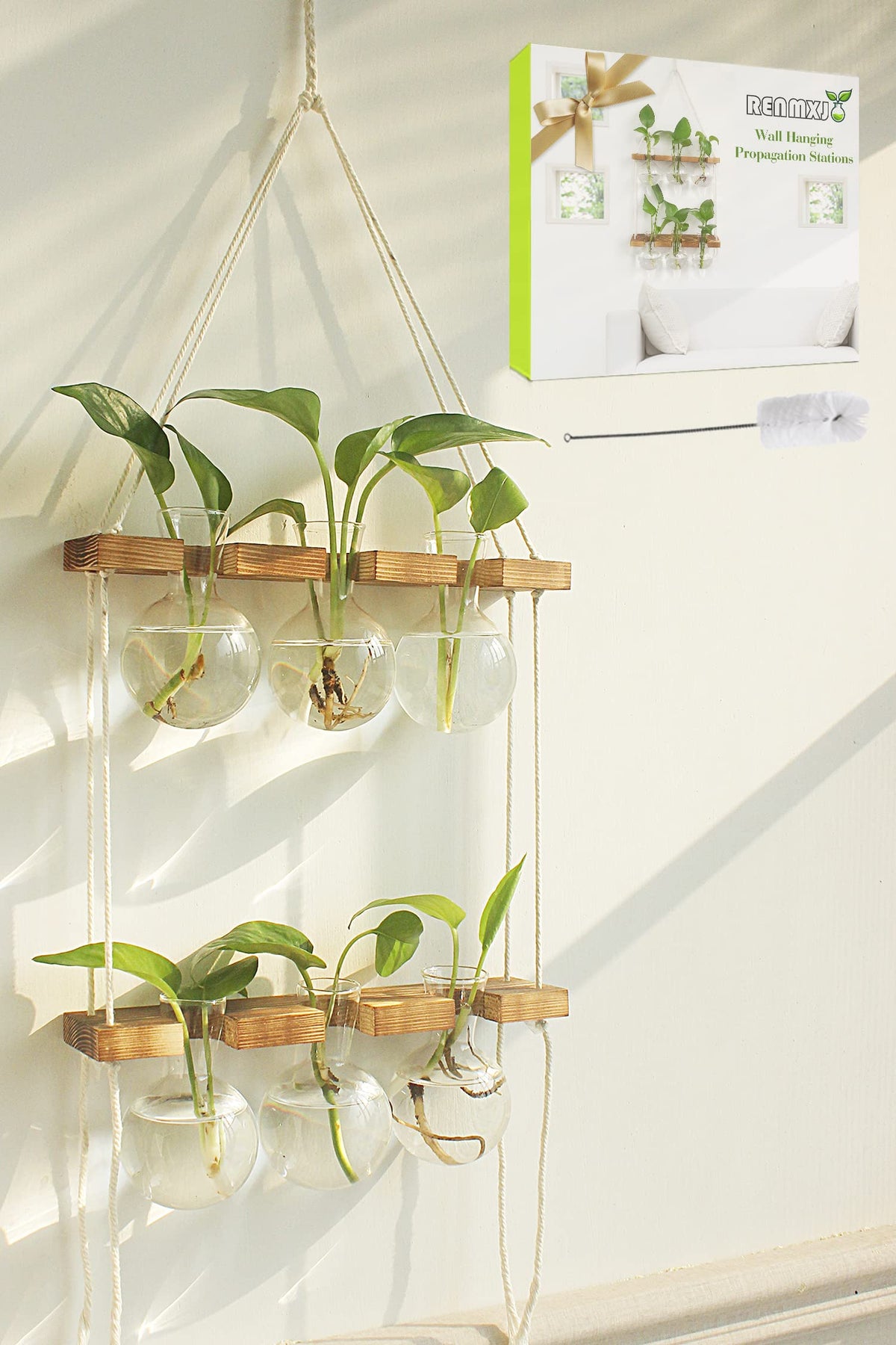 Renmxj propagation station wall hanging with six glass bulbs for easy root viewing.