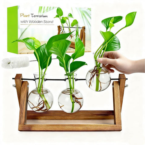 Renmxj propagation station with wooden stand on a desk for plant display