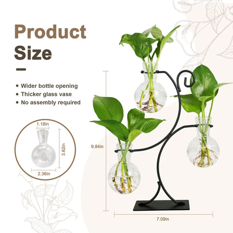 Renmxj protective packaging keeps the vase safe during shipping for gift-ready arrival.