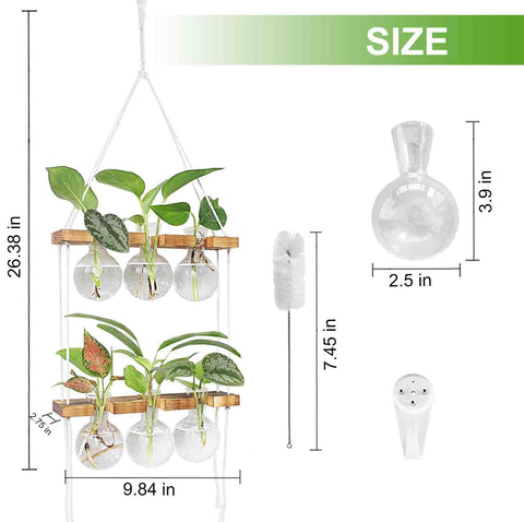 Renmxj two-tier wooden stand showcasing compact hydroponics display.