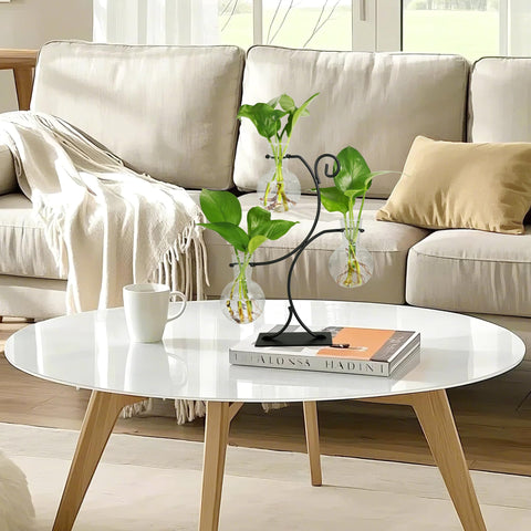Renmxj wide-mouth vase enables easy water changes and gentle root transfers.