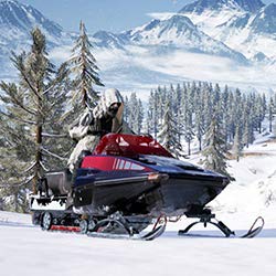 Renogy weatherproof design highlighting durability in varied conditions.