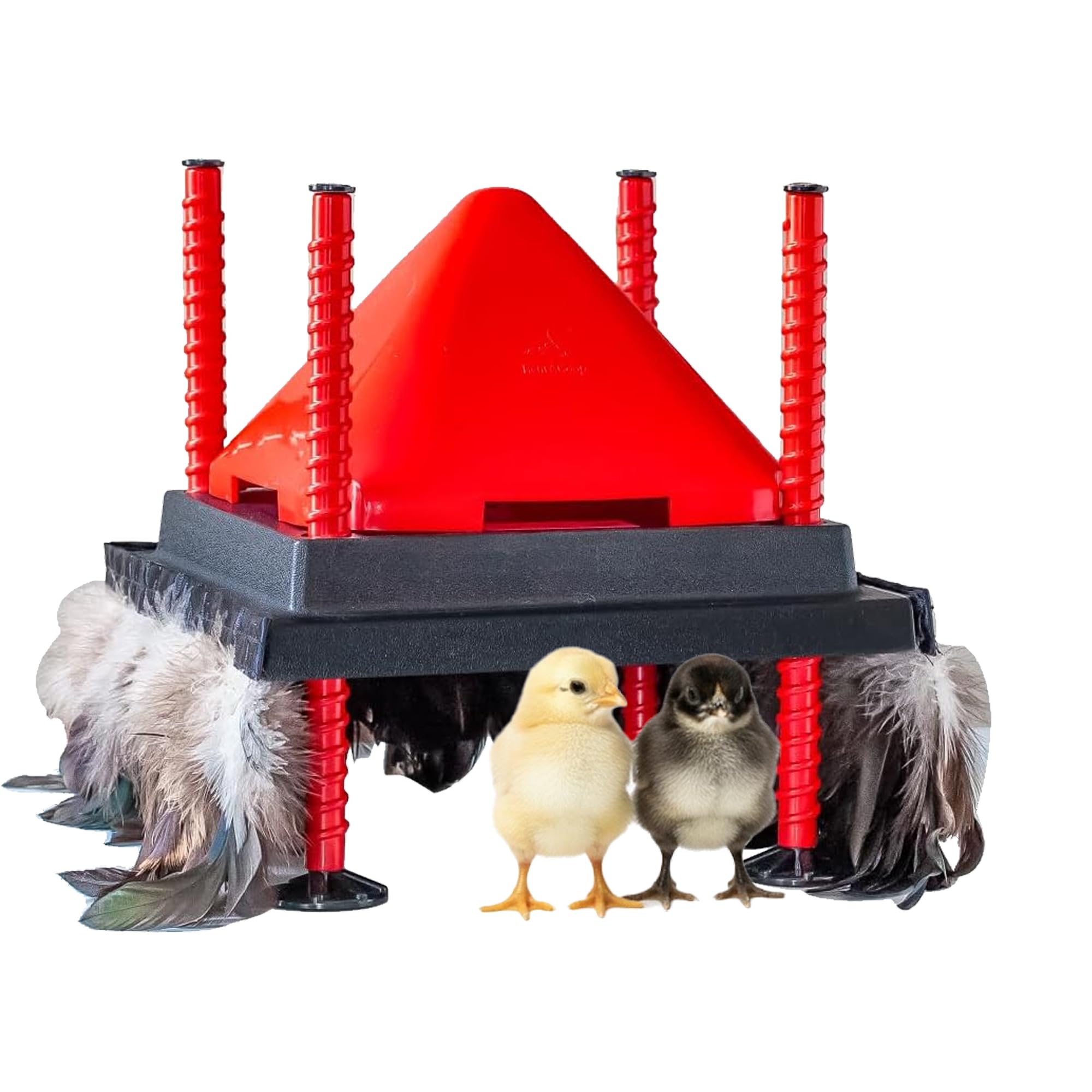 RentACoop 10x10 heating plate warms up to 15 chicks efficiently
