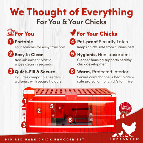RentACoop 12x12 heating plate demonstrates radiant warmth for steady chick comfort.