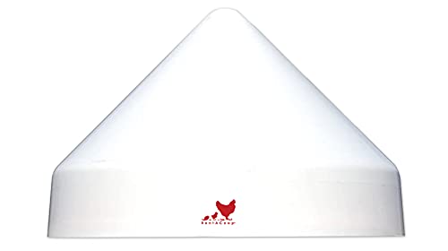 RentACoop anti-roost cone on a 5-gallon bucket waterer keeps the station stable and clean.
