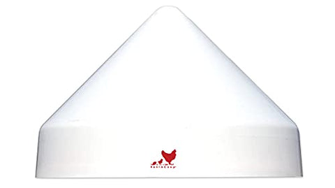 RentACoop anti-roost cone on a 5-gallon bucket waterer keeps the station stable and clean.