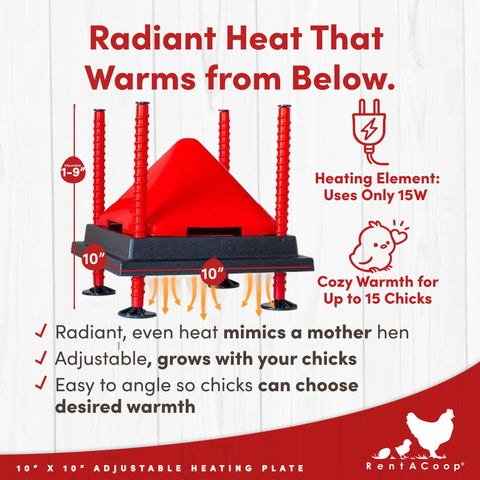 RentACoop anti-roost cone keeps chicks off the hot surface