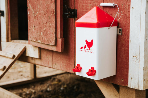 RentACoop anti-roost cone keeps the lid clean and dry.