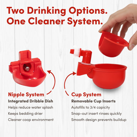 RentACoop anti-roost cone helps keep coop bedding cleaner around the waterer.