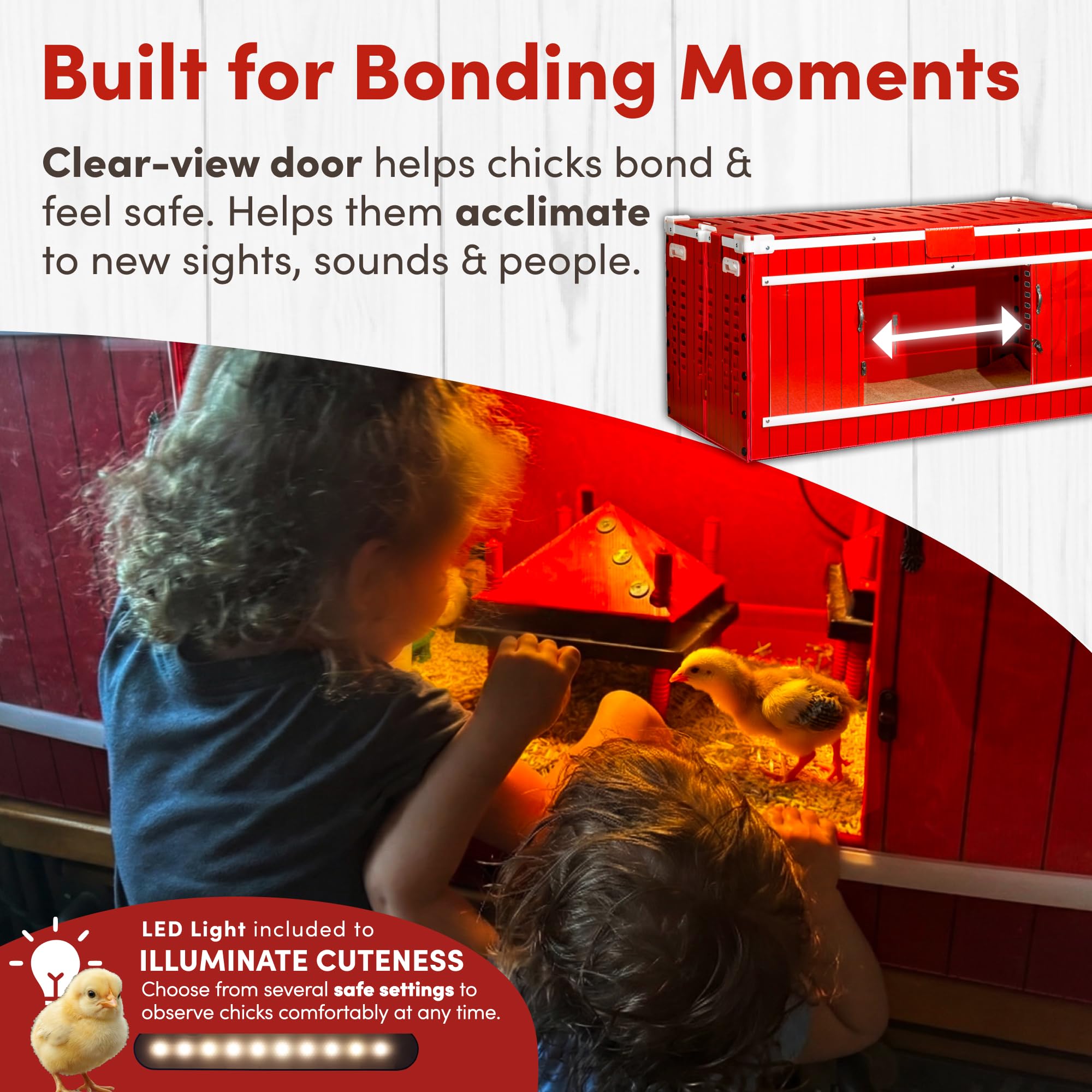 Clear-view doors help monitoring and bonding with chicks in the RentACoop Brooder