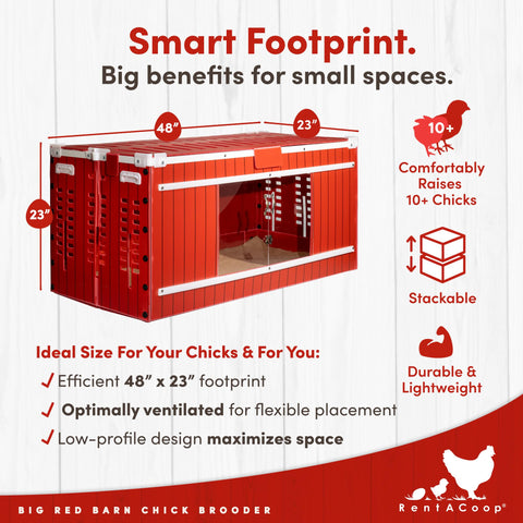 RentACoop Big Red Barn Brooder hatchling liners cover growth stages for chicks