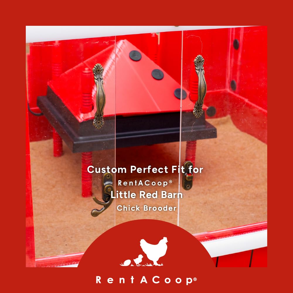 RentACoop bio friendly bedding alternative reduces mess and simplifies maintenance.