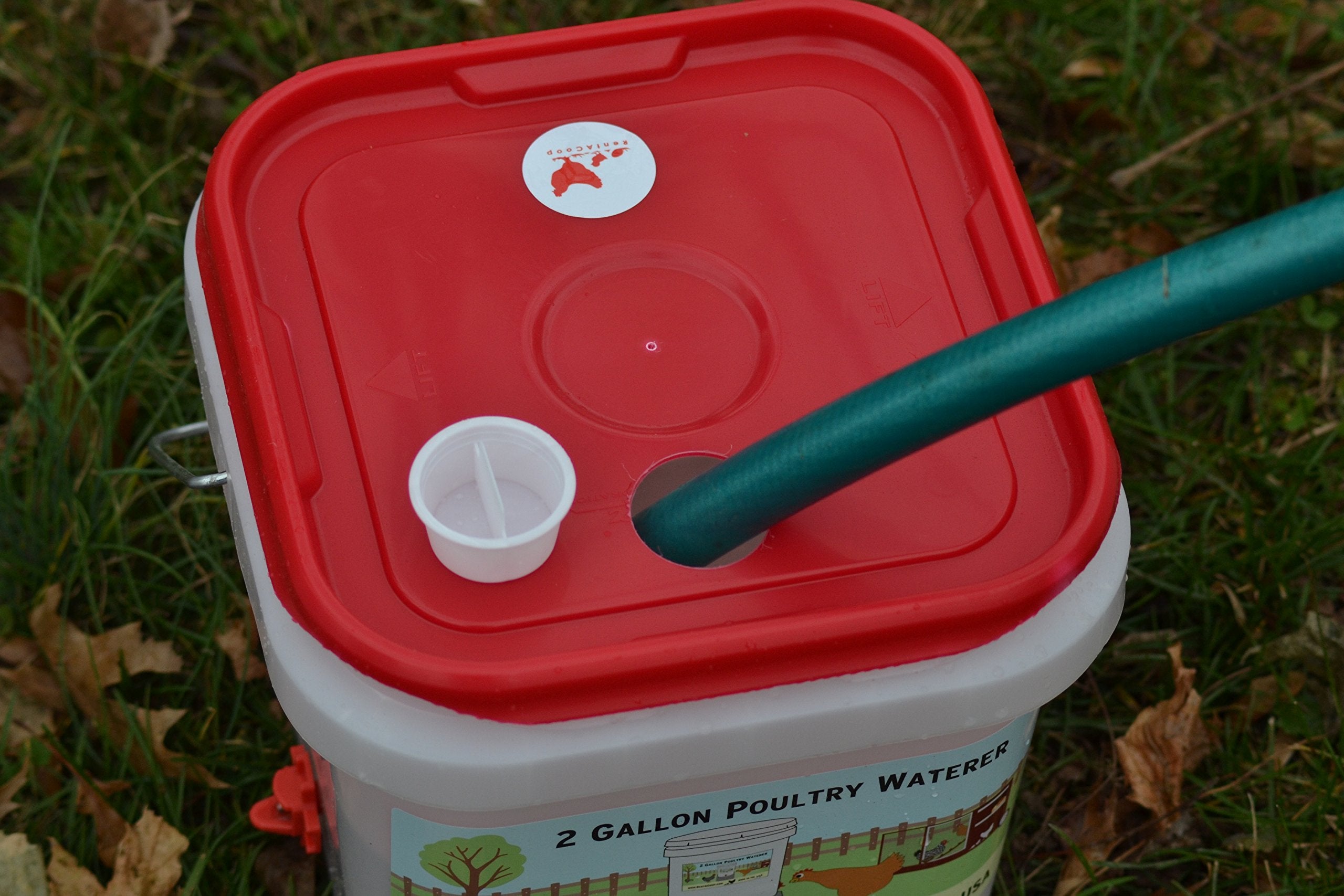 RentACoop BPA-free plastic bucket offers safe hydration for birds