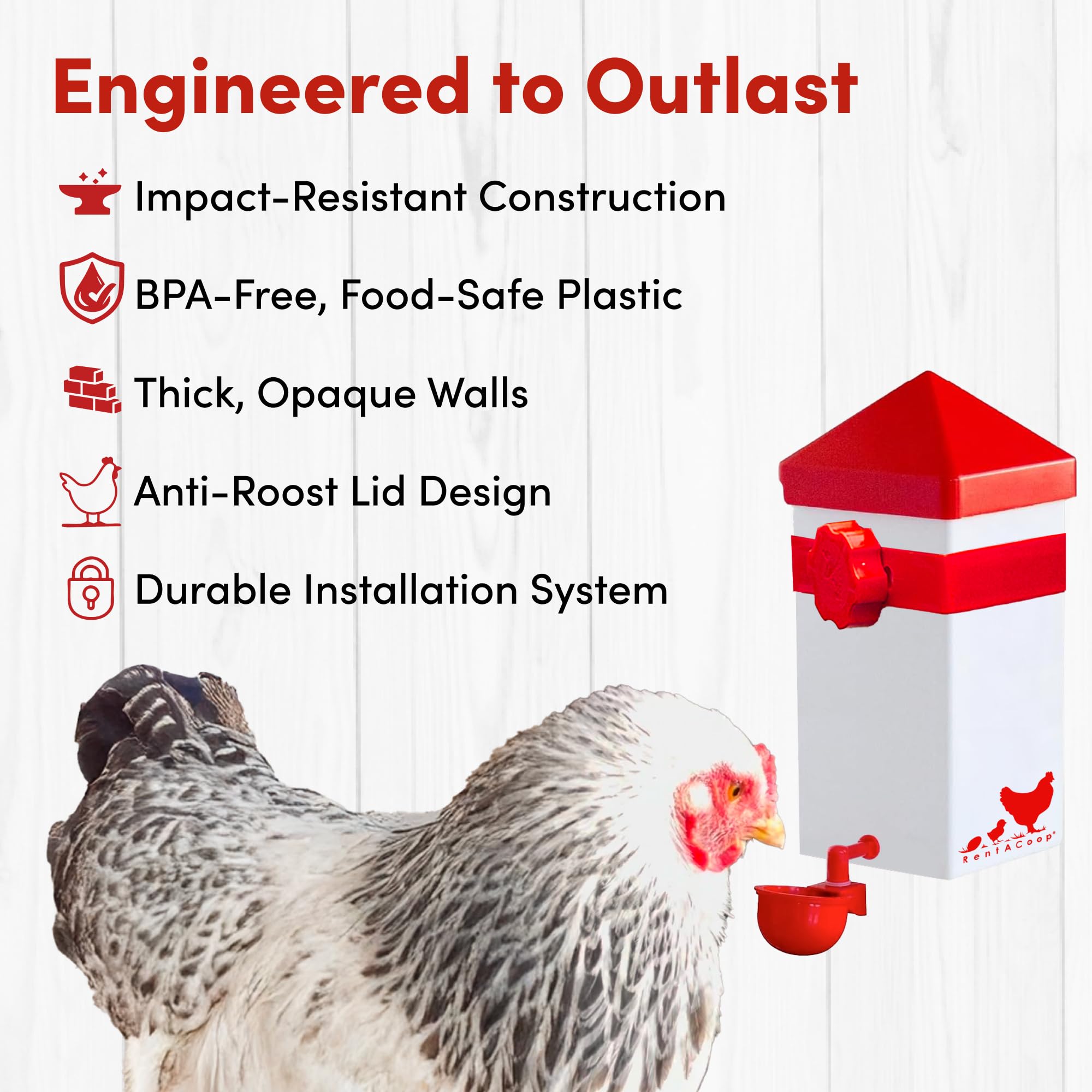 RentACoop BPA-free plastic waterer supports clean water in the coop.