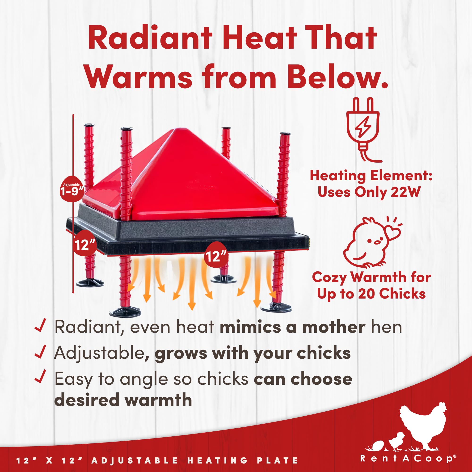 RentACoop brooder plate angle adjustment demonstrates gradient warmth as chicks grow